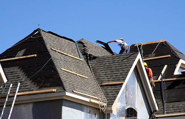 Best Shingle Roofing Installation  in Combes, TX