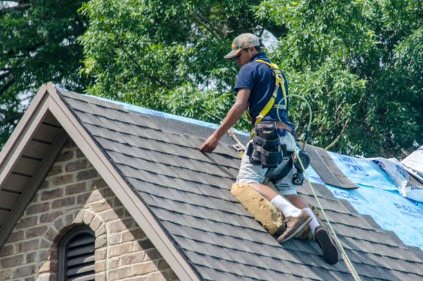 Best Roof Gutter Cleaning  in Combes, TX